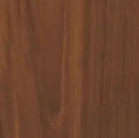 Цвят Златен Дъб