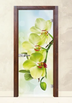 Стъклена интериорна врата Print 13-3 Green Японски Бонсай