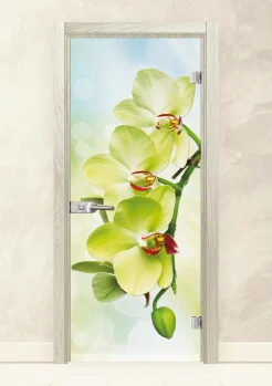 Стъклена интериорна врата Print 13-3 Green Избелен Дъб