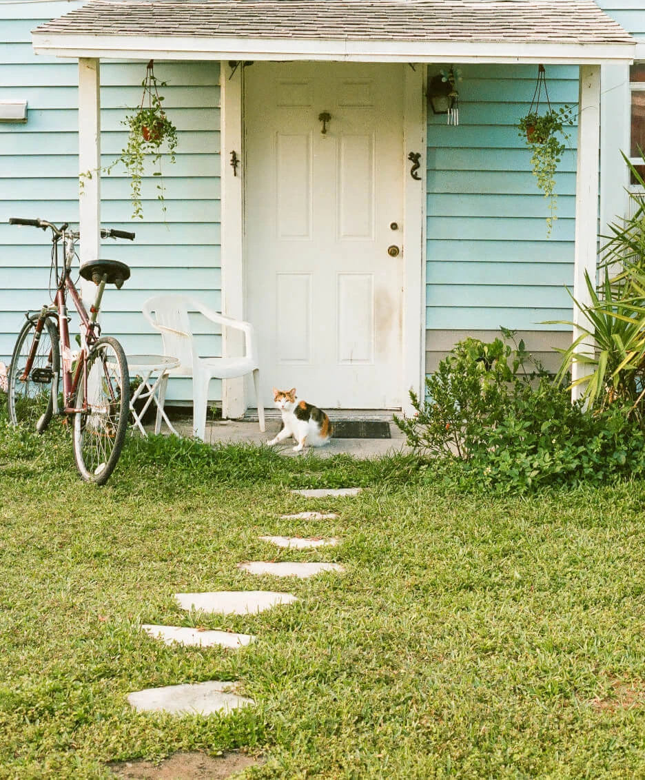 Стара врата навес котка и колело